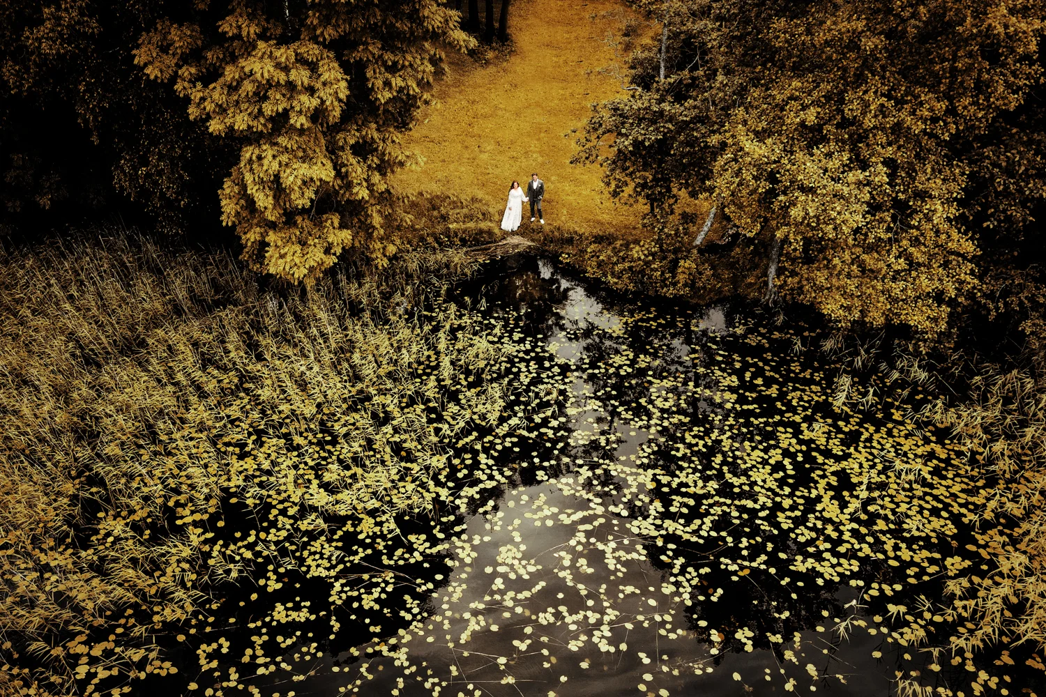 Droninė vestuvių fotografija