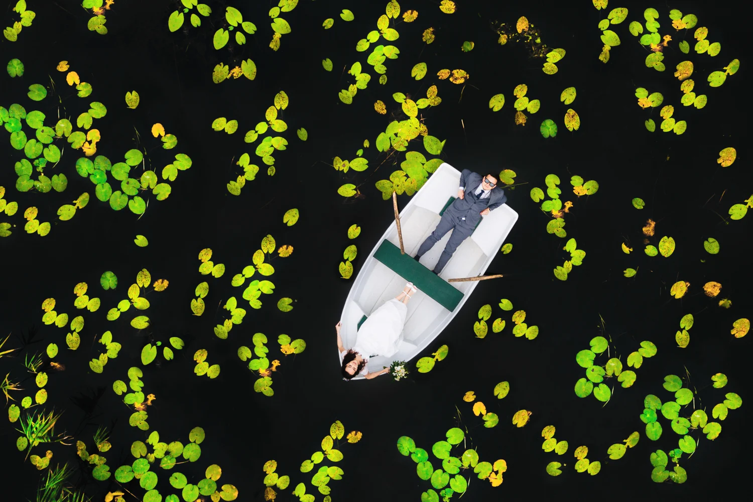 Jaunavedžiai tarp vandens lelijų, fotografavimas dronu