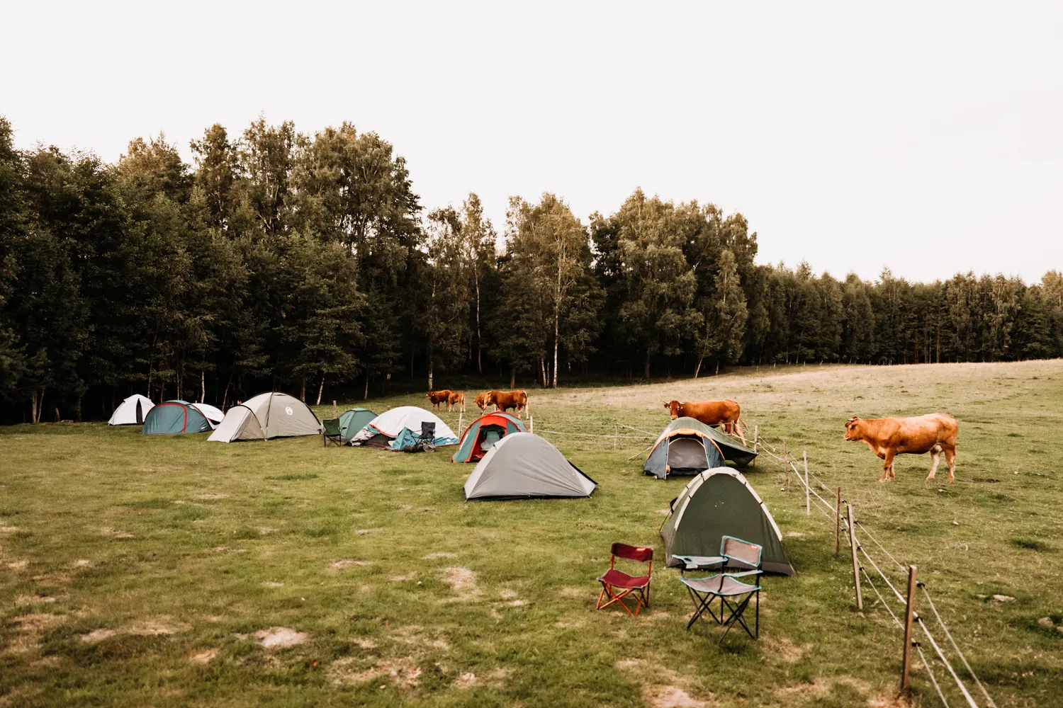 Netradicinės festivalio tipo vestuvės lauke
