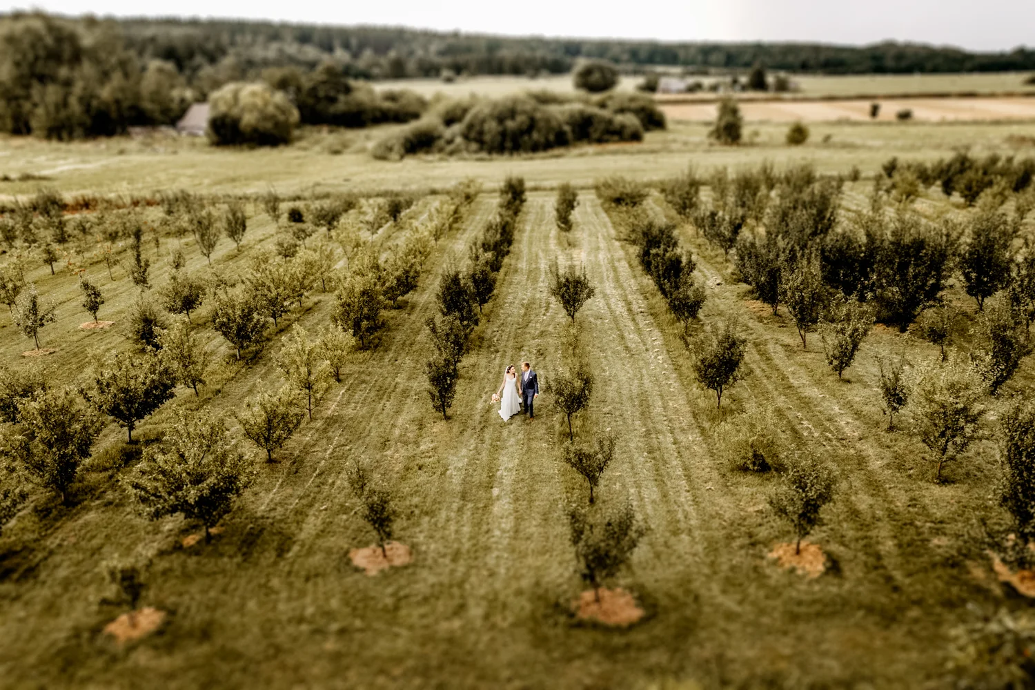 Rustic, boho vestuvės, fotografai