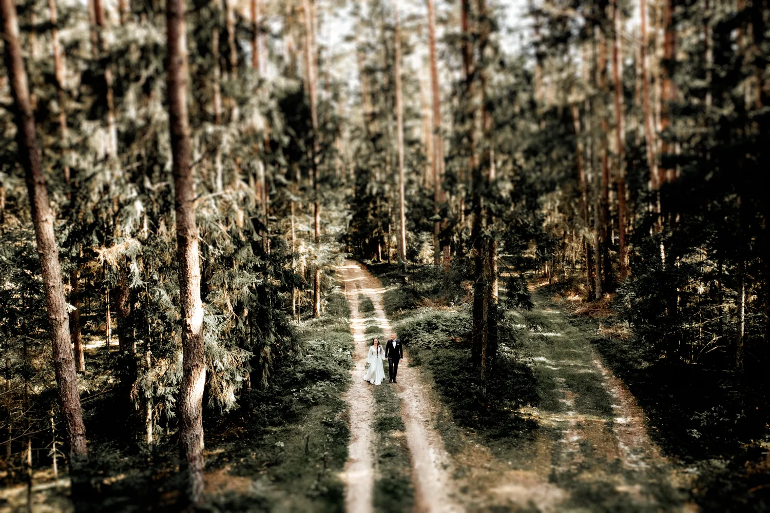Vestuvių fotografai Kaune